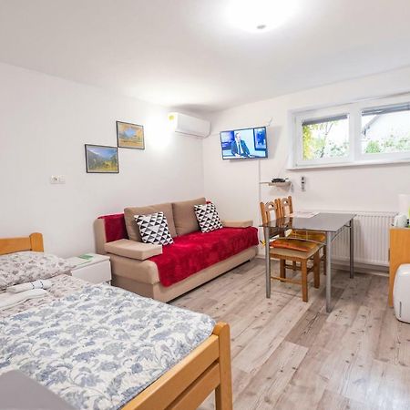 Newly Renovated Studio With Air Conditioner & Free Parking Ljubljana Eksteriør bilde